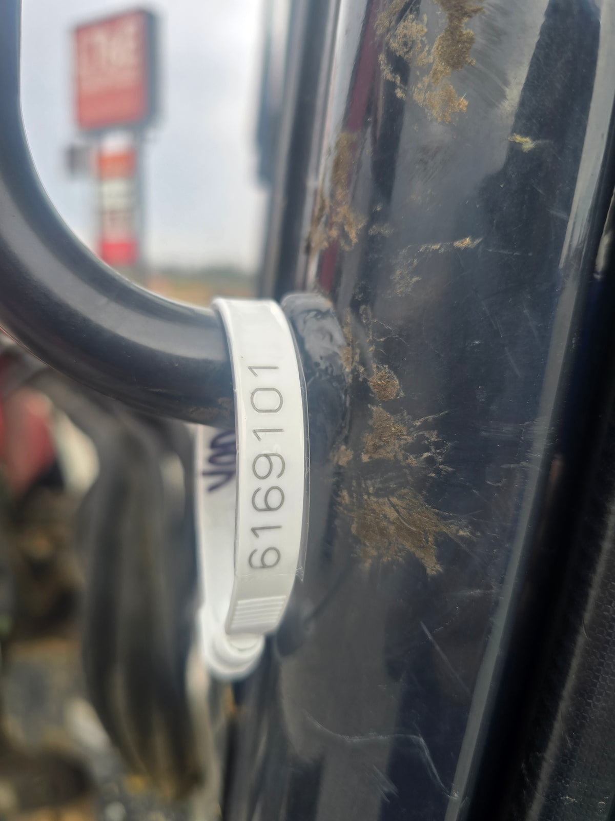 USED 2023 YANMAR VIO-55 CAB WITH BUCKET & THUMB #6169101
