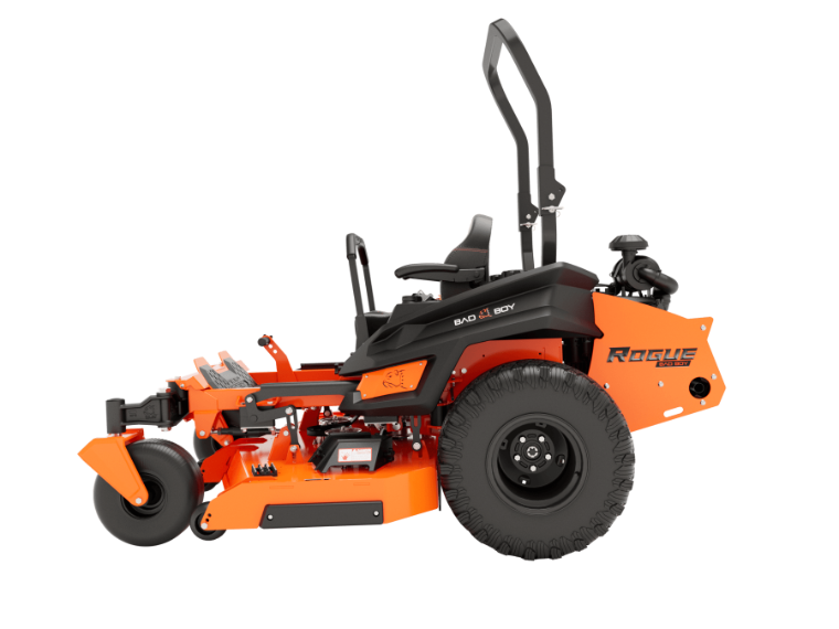 Bad Boy Rogue
